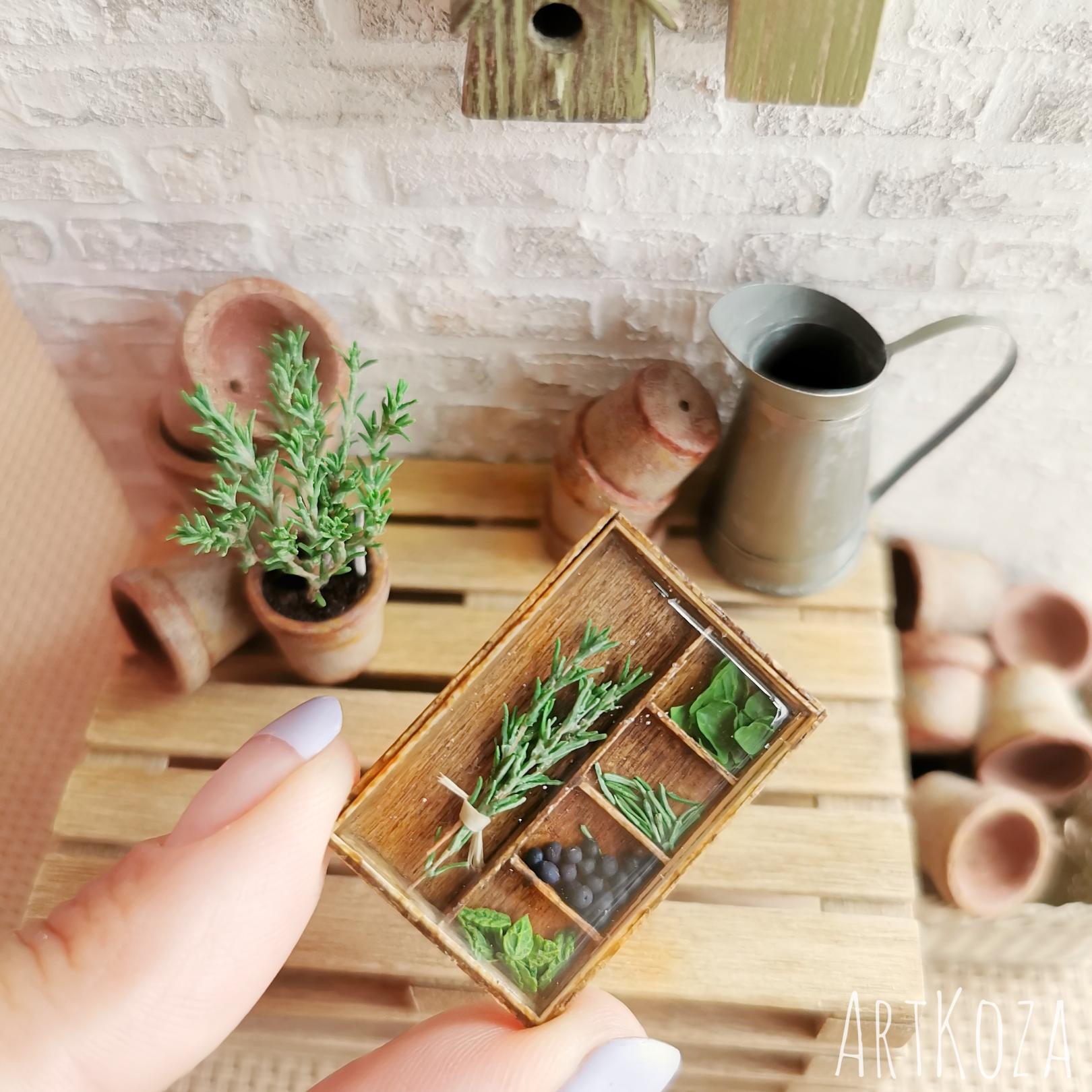 Spices set in the box with Rosemary