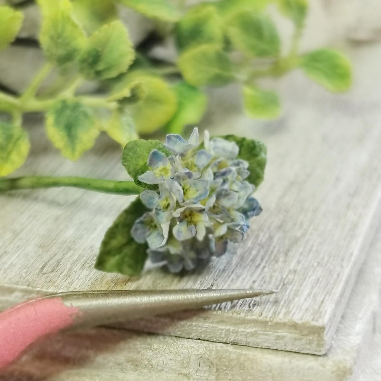 Hydrangea flowers. Blue